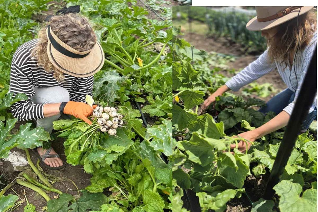 חבילת אנשים זה כל הסיפור