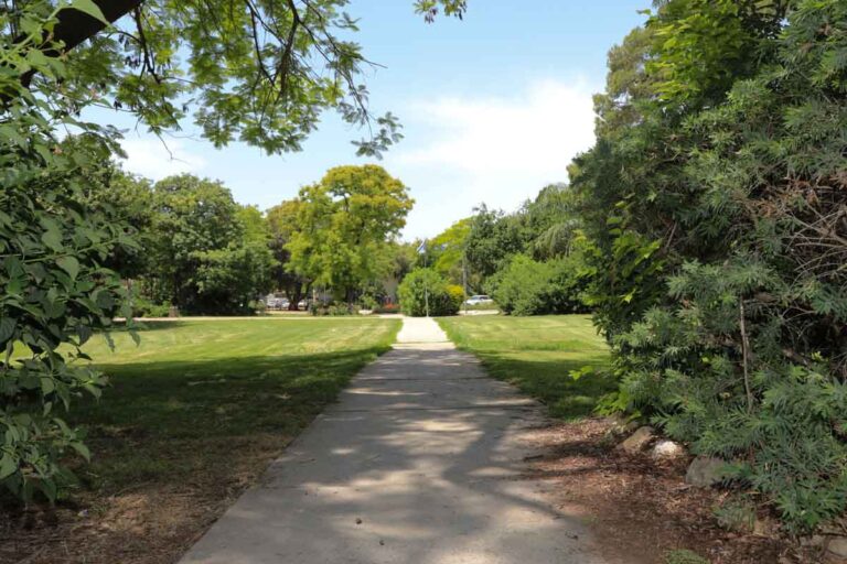 מחוץ למבנה חדר האוכל, השביל המוביל ממנו בין המדשאות והסביבה הירוקה.