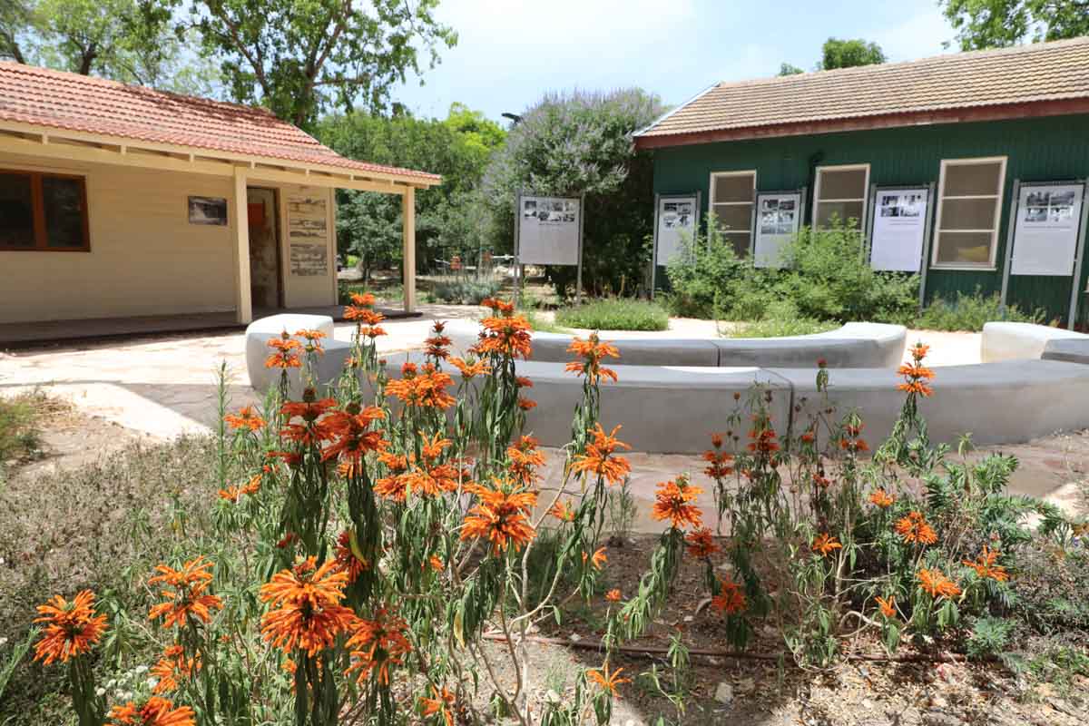 תמונה רוחבית המציגה את הצריף הירוק המשמש ללימוד מוזיקה ואת צריף הראשונים- בניין לשימור. במרכז ישנה רחבה עם שלטים המתארים את הסיפורים מתולדות הקיבוץ.